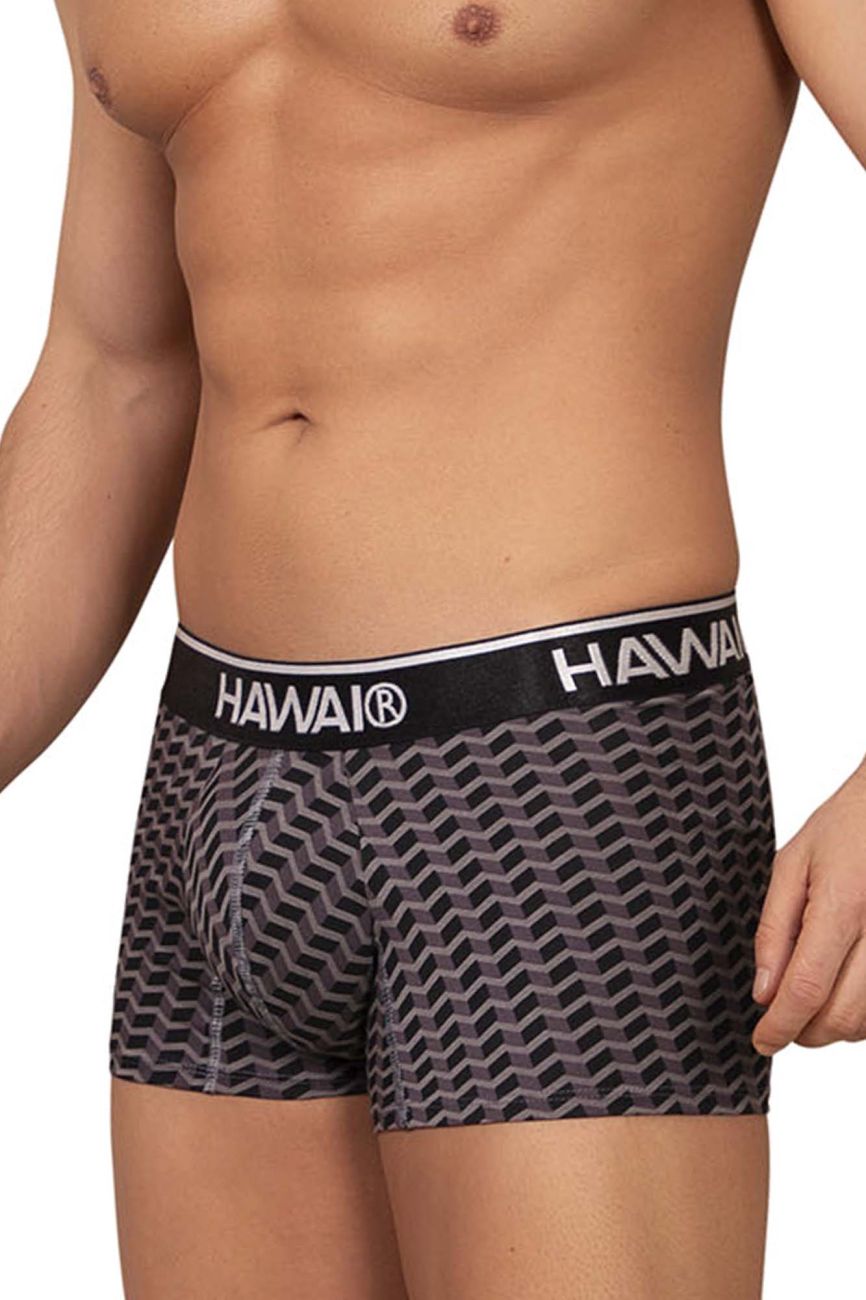 Hawai Printed Trunk 42371