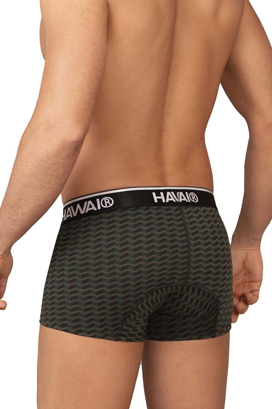 Hawai Printed Trunk 42371