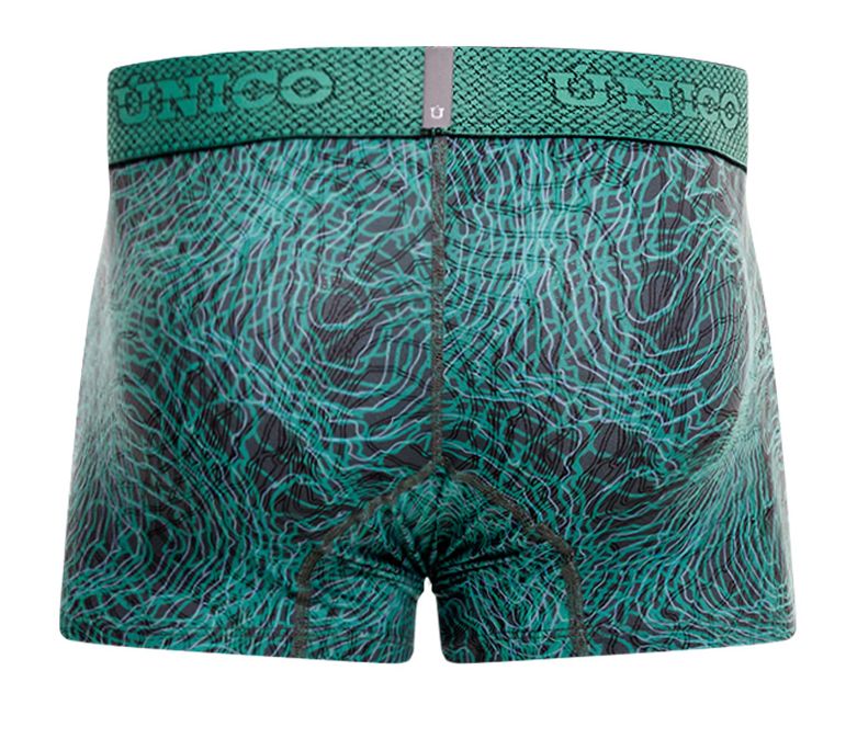 Unico Cairel Trunk